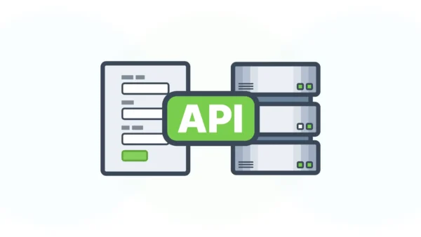 Backend API Development